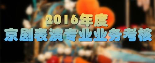 草bi视频国家京剧院2016年度京剧表演专业业务考...